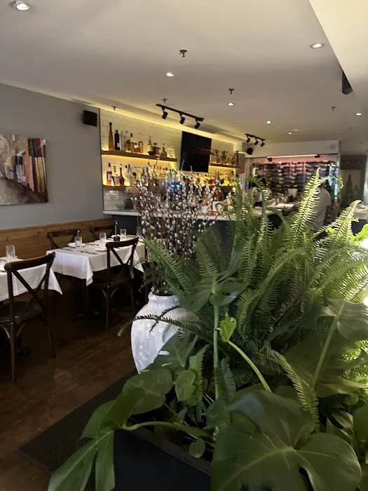 Shiraz Kitchen & Wine Bar Picture 4