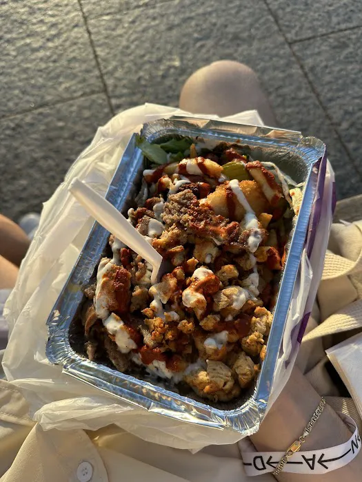 Mystical Cuisine Halal Food Truck Picture 10