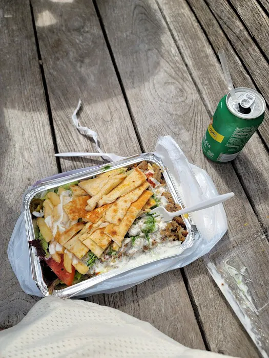 King Cab Halal Food Cart Picture 7