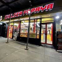 Chelsea Papaya ico
