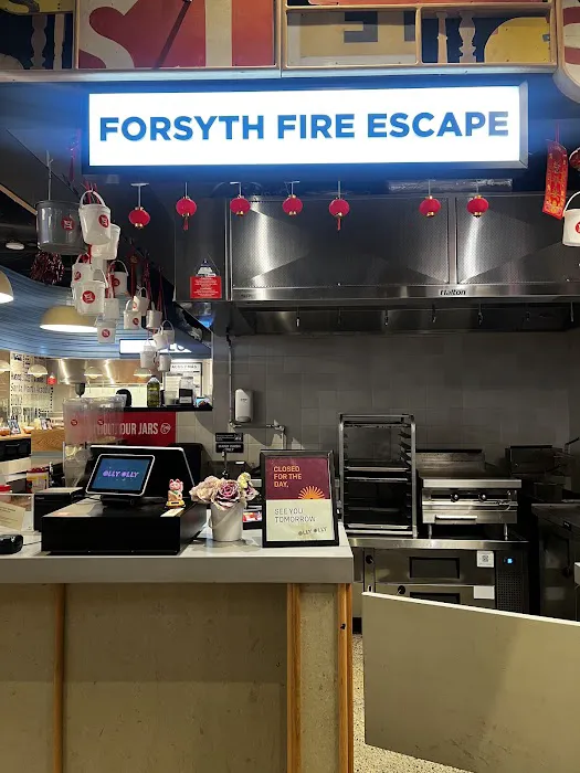 Forsyth Fire Escape Picture 3