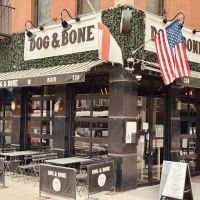 Dog & Bone ico
