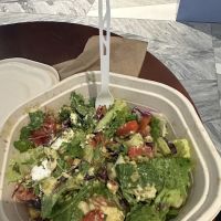 sweetgreen ico