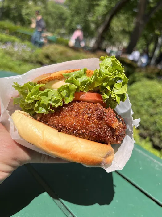 Shake Shack Madison Square Park Picture 8