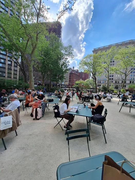 Shake Shack Madison Square Park Picture 7