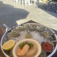 Sailor's Choice ico