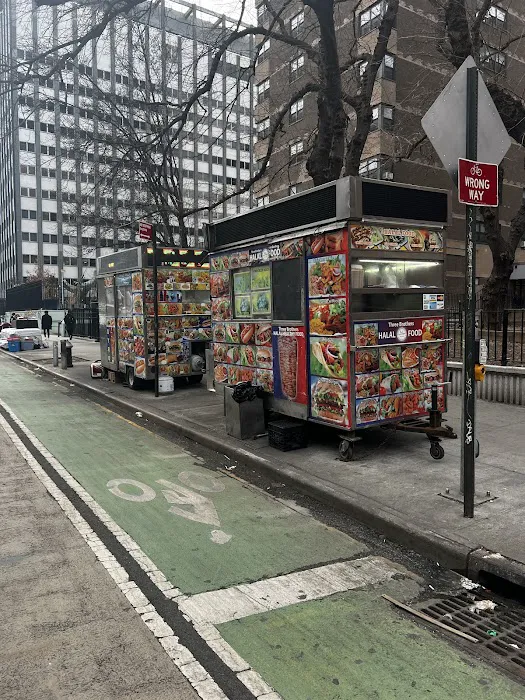 Bellevue Truck (Halal Food) Picture 3