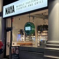NAYA ico