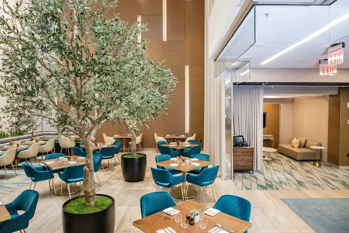 Catria Cucina and Bar Picture 4
