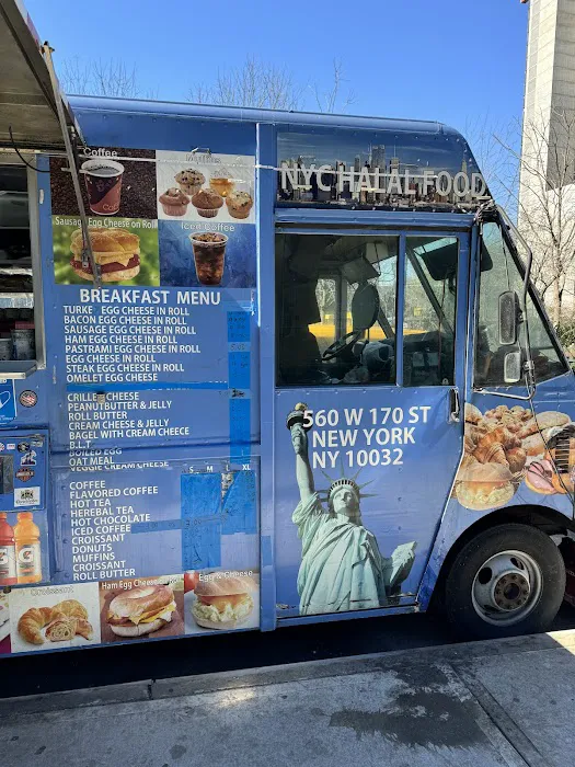 NYC Halal Food Truck Picture 3