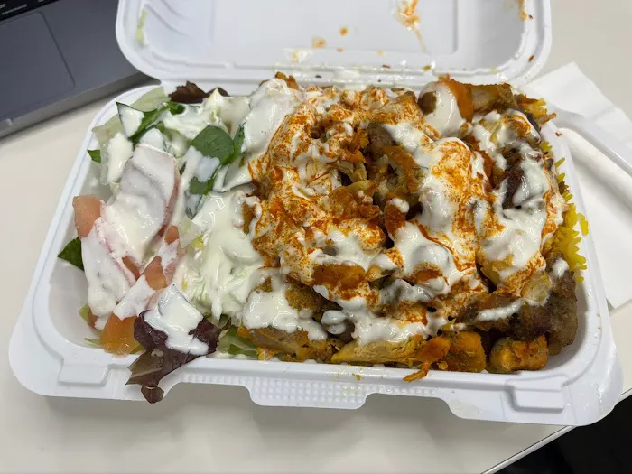 NYC Halal Food Truck Picture 5
