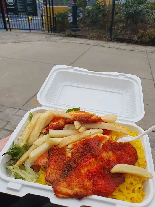 NYC Halal Food Truck Picture 10