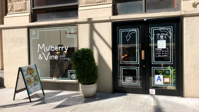 Mulberry & Vine Picture 2