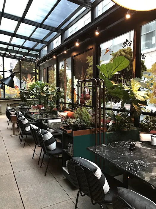 Feroce Ristorante Picture 5