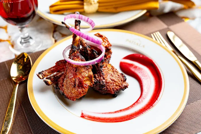 Patiala Indian Grill & Bar Picture 3
