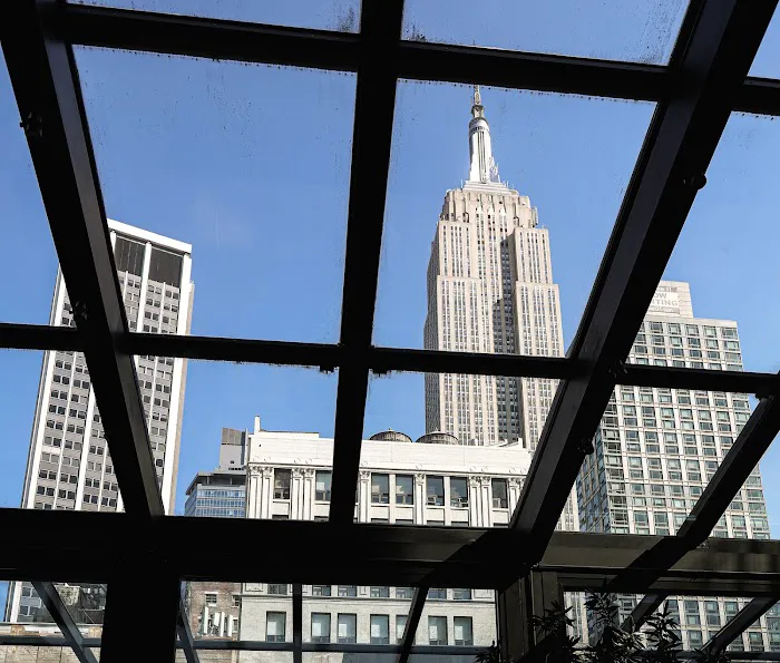 Glass Ceiling Rooftop Picture 6