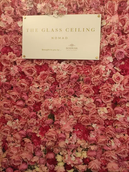 Glass Ceiling Rooftop Picture 10