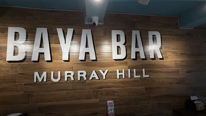 Baya Bar Murray Hill Picture 4