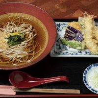 Soba Totto ico