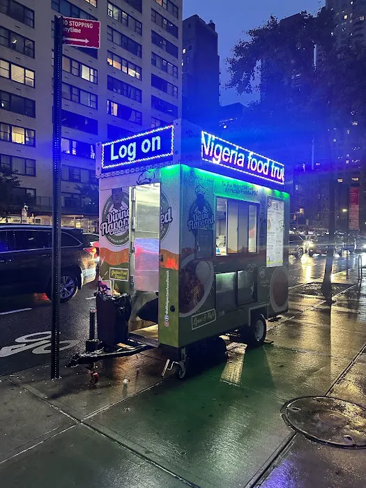 DF Nigerian Food Truck Picture 2