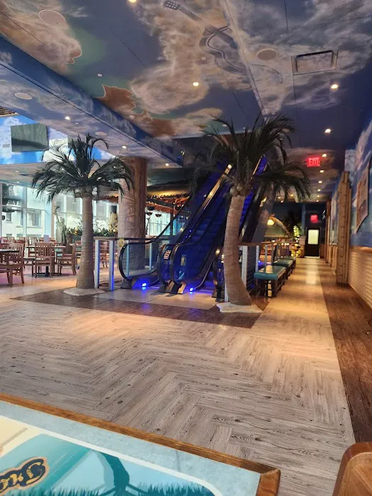 Jimmy Buffet Margaritaville Restaurant Picture 4