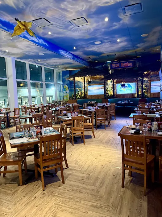 Margaritaville Restaurant - Times Square Picture 7