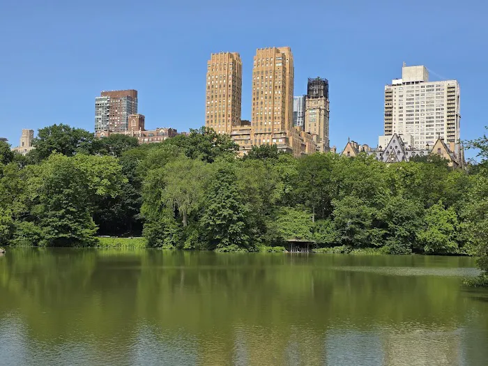 New York Central Picture 4