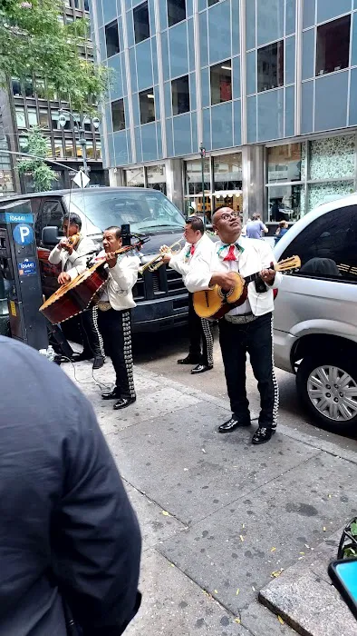 Cinco de Mayo Picture 4