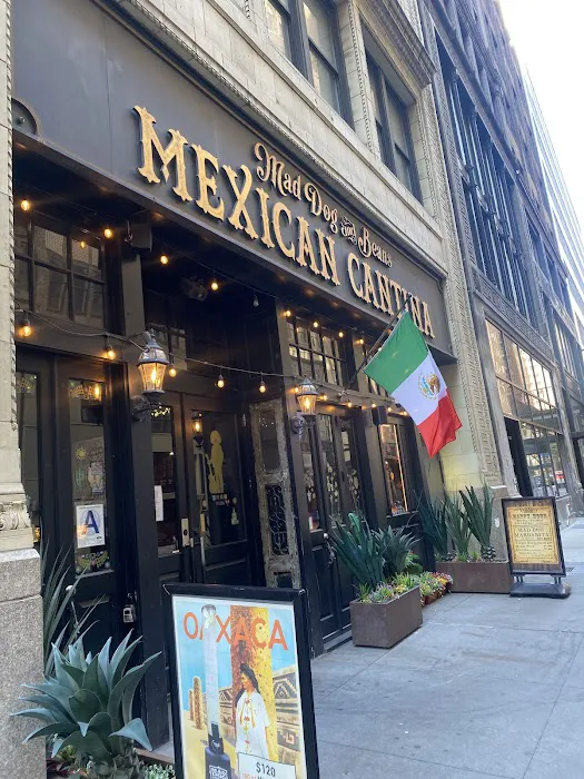Mad Dog & Beans Mexican Cantina Picture 4