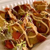 Kraves Vegan Foods ico