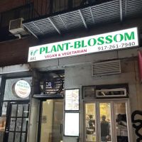 Plant-Blossom ico