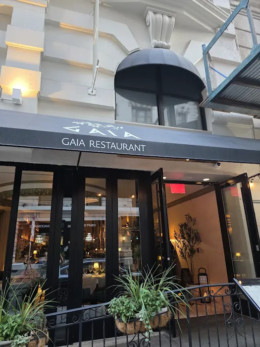Gaia Restaurant Picture 4