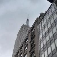 Judy & Manhattan Inc ico