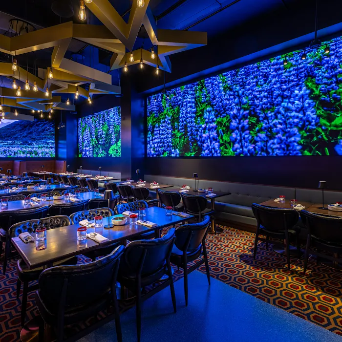 Planet Hollywood New York Picture 2