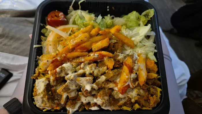 Tamer Halal Food Truck Picture 1