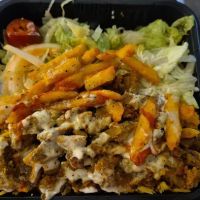 Tamer Halal Food Truck ico
