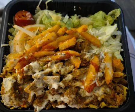 Tamer Halal Food Truck