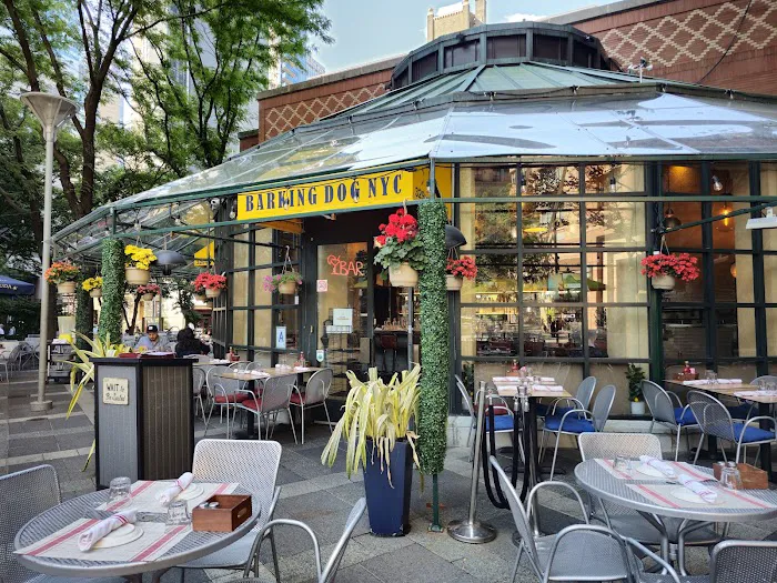 Barking Dog Hell’s Kitchen Picture 5