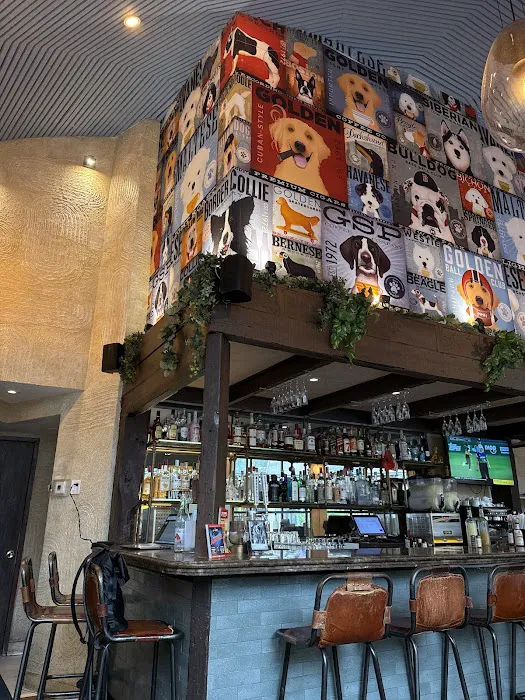 Barking Dog Hell’s Kitchen Picture 4