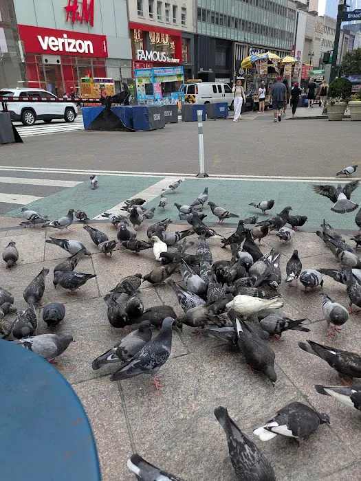 The flavor of new york Picture 3