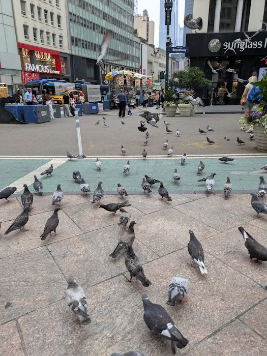 The flavor of new york Picture 7