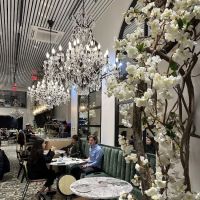 FinBar Sushi NYC ico