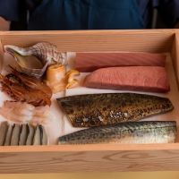 Coral Omakase at Point Seven ico