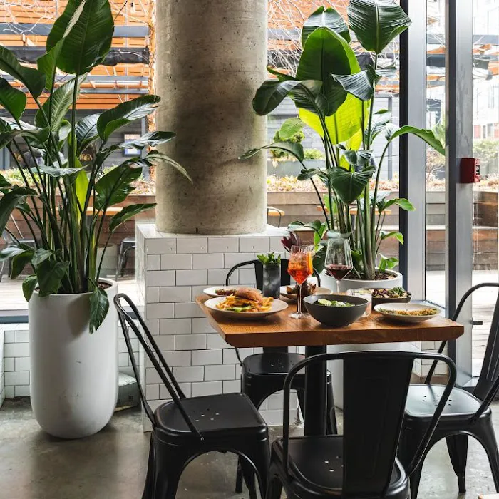 Isla & Co. - Midtown Picture 1