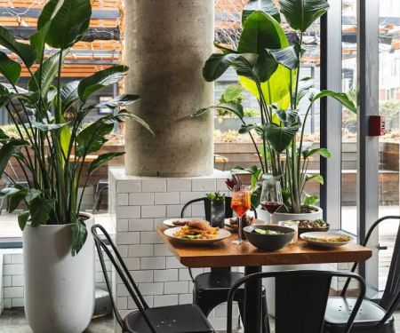 Isla & Co. - Midtown