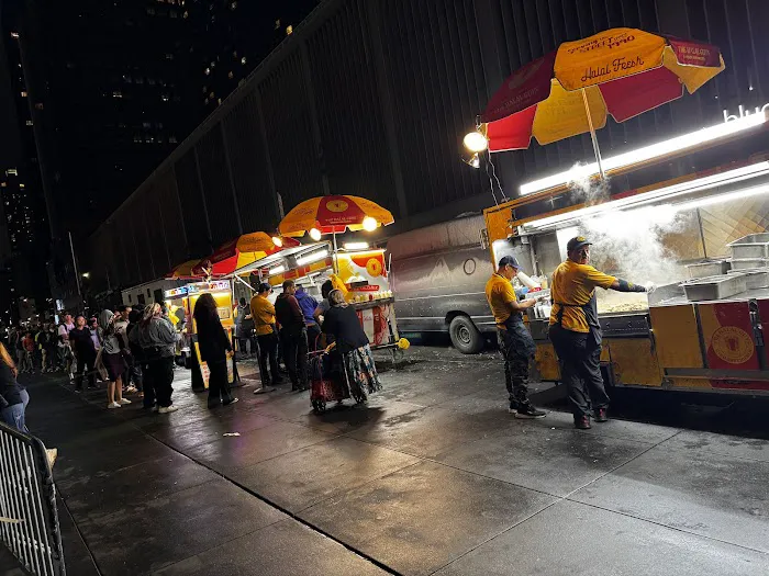 Halal Cart Picture 1