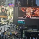 Nuchas Times Square