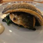 Bocca di Bacco