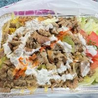 USA BEST HALAL FOOD ico