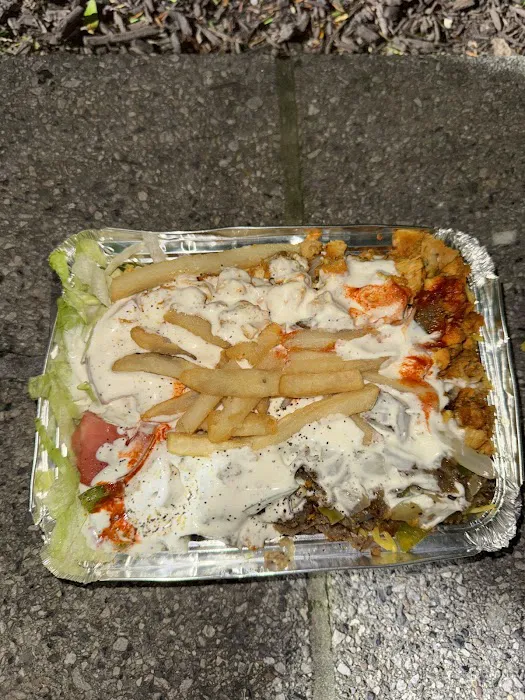 USA BEST HALAL FOOD Picture 5